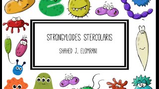 Strongyloides Stercolaris [upl. by Nemajneb]