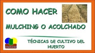 Como Hacer Mulching o Acolchado en el Huerto [upl. by Noyrb]