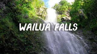 Wailua Falls is the best shorthike waterfall on the east side of Maui [upl. by Aniretake758]