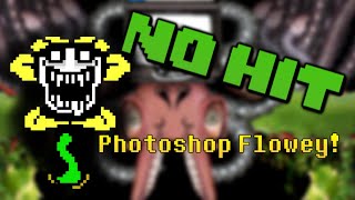 No Hit Photoshop Flowey UNSEGMENTED [upl. by Nnylf]