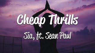 Sia  Cheap Thrills Performance Edit [upl. by Edialeda147]