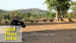 An octogenarian farmer inspects his land in Madhya Pradesh [upl. by Senga]