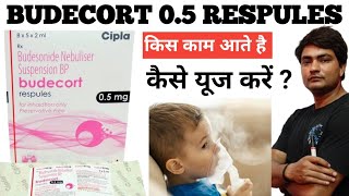 budecort 05 mg respules  budecort 05 mg respules for baby  budecort 05 mg respules uses [upl. by Icak947]