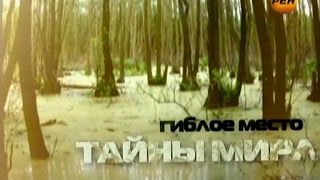 Тайны Мира с Анной Чапман Выпуск 30 Гиблое Место [upl. by Haslett]