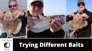 Fishing Near Felixstowe Suffolk Essex Different Baits And A Monster Whiting UK [upl. by Kistner]