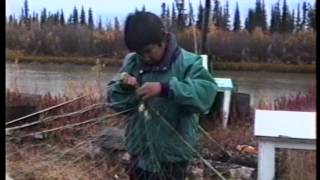 01 01 TAMAPTA Living off the Land with Freddy Rogers Fall Harvesting [upl. by Nari]