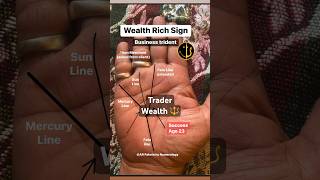 Palmistry  Wealth and business sign trident job palm reading palmistry reels online shorts [upl. by Siffre]