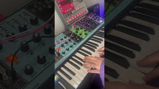 Moog Matriarch Jam some satisfying chords by Maddy Moog matriarch synth homestudio synthesizer [upl. by Maharg]