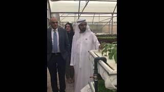 HH Sheikh Mohammed Visit to Armela Farms 02 [upl. by Annabella]