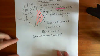 The FrankStarling Law of the Heart Part 2 [upl. by Ecadnarb]