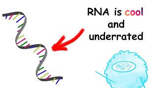 The Chemistry of Life  RNA is Cool Stream [upl. by Danya26]