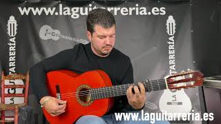 GUITARRA FLAMENCA PRUDENCIO SAEZ 1FP 22 [upl. by Erasmo]