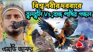 বিশ্ব নবীর দরবারে বুলবুলি Vsবাজ পাখির গজল md jafor gojol বাংলা gojol JAFOR গজল MDjafor gojol [upl. by Ricarda]