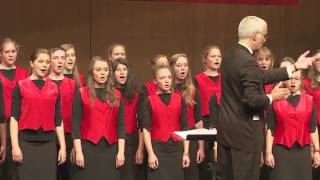 Ulmer Spatzen Chor  A Little Jazz Mass  Agnus Dei [upl. by Cymbre620]