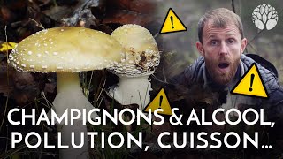 Champignons sauvages comestibles oui mais attention [upl. by Ulphia]