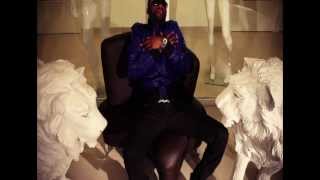 Fally Ipupa  Nyokalessé Clip Officiel [upl. by Anitsirt173]