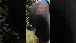 Te salio bien salami humor humor comedia automobile mtb bicicleteria bicicleta [upl. by Ahsyia]