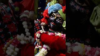 बांकेबिहारी आए तुम्हारी शरण radhekrishnamusic hindudeity radhebhakti hindugod radheshyamshots [upl. by Olli731]