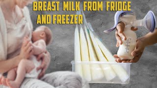 Frozen Breast Milk and Breast Milk in Fridge  How to Store Breast Milk [upl. by Esilegna]