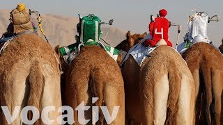 RemoteControlled Robot Camel Jockeys Replace Children In Desert Race [upl. by Bettye]