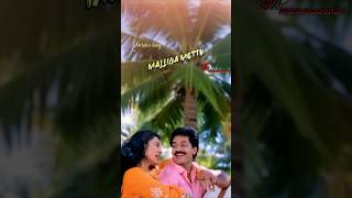 Malliga Mottu song status 4k  Arunmozhi  Swarnalatha  Ilayaraja  tamil melody status [upl. by Ellainad914]