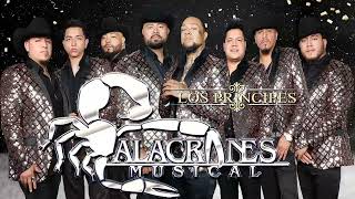 Alacranes Musical  Duranguense Mix 2022 10 Exitos De Oro [upl. by Cynthia]