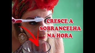 RECEITA MILAGROSA PARA CRESCER SOBRANCELHA RÁPIDO com BONUS DE ERRO DE GRAVAÇÃO [upl. by Venator]