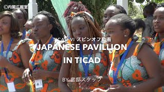 TICAD Ⅵ（ジャパン・アフリカEXPOでの日本企業の展示の様子）―平成28年8月25～28日 [upl. by Aldo]