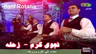 عاشقة نجوى كرم HD [upl. by Brena]