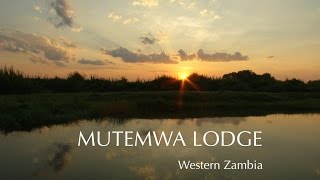 Mutemwa Lodge Zambia [upl. by Eemiaj447]