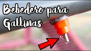 Que Tus GALLINAS No Pasen Sed Construye Este BEBEDERO Casero AUTOMÁTICO 💧🐓 Sistema Agua Infinita [upl. by Marice606]