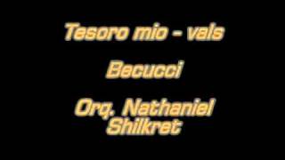 Tesoro mio  vals  Becucci  Orq Nathaniel Shilkretmpg [upl. by Tnayrb]