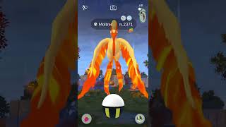 Found Shiny Moltres galar  Pokémon GO pokemon pokemongo pokemonshorts moltres pokémon [upl. by Curran]