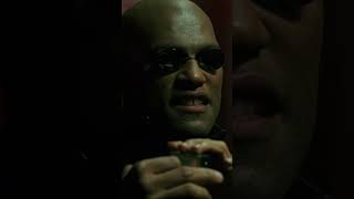 Morpheus Warns Neo About the Matrix Sequels [upl. by Adaven]