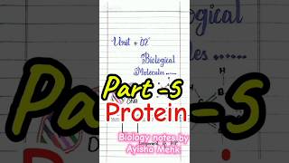 Protein biological molecules class 11 biology [upl. by Yug]