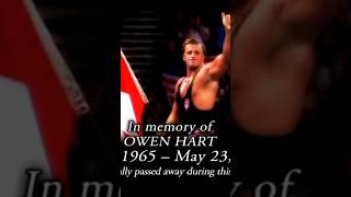 WWE Owen Hart death story shorts wwe romanreigns [upl. by Kano809]