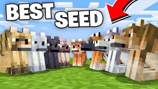 The PERFECT Seed For Minecraft 121 All New Wolf Variants at Spawn [upl. by Yenittirb265]