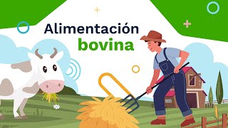 Curso Alimentación bovina [upl. by Janeczka]