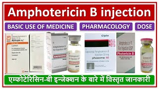 Amphotericin B injection Basic use Dose side effectएम्फोटेरिसिनबी इन्जेक्शन के बारे में जानकारी [upl. by Dranal187]