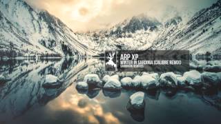 Arp XP  Winter in Sardinia Calibre Remix [upl. by Nadbus]