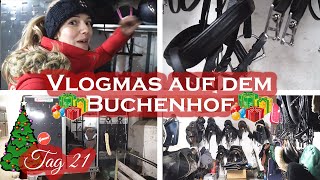 Meine AUSRÜSTUNG  Vlogmas 21 [upl. by Sualokin277]