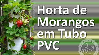 🍓 HORTA DE MORANGO NO CANO PVC  FAMÍLIA DIY [upl. by Schuyler]