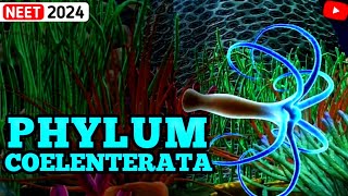 NonChordates PHYLUM COELENTERATA  Animal Kingdom  3D ANIMATION [upl. by Ximenes246]