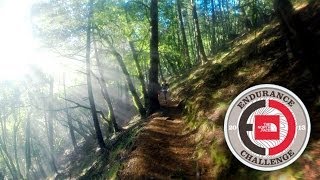 2013 NORTH FACE ENDURANCE CHALLENGE CHAMPIONSHIP 50 MILE RACE  GingerRunnercom Review [upl. by Ennyletak443]