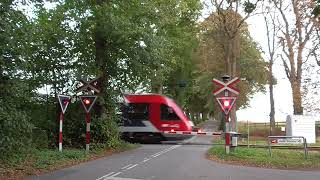 Jernbaneoverskæring Vedskølle Spoorwegovergang Level Crossing Passage a Niveau Bahnübergang [upl. by Ahseen]