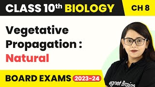 Class 10 Biology Chapter 8 Vegetative Propagation Natural How Do Organisms Reproduce [upl. by Sheelah]