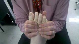 Distal Metatarsal Joint Mobilization [upl. by Pisarik]