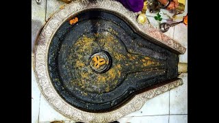 Trimbakeshwar Live Darshan livestream trimbakeshwar [upl. by Inajar131]