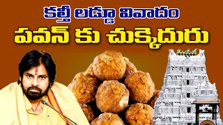 కల్తీ లడ్డూ వివాదం పవన్‌కు చుక్కెదురు  Pawan Kalyan Tirupati Laddu issue  Amaravathi Media [upl. by Nommad]