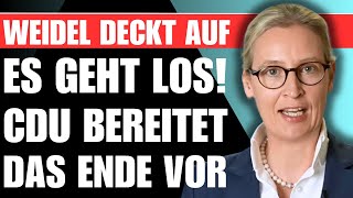 Weidels DÜSTERE WARNUNG 🚨 quotBald ist es zu spätquot Die CDU bereitet gerade DAS ENDE vor [upl. by Adnaloy210]